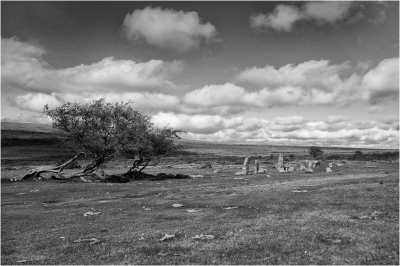 Wind Blown Moors